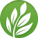 logo_only
